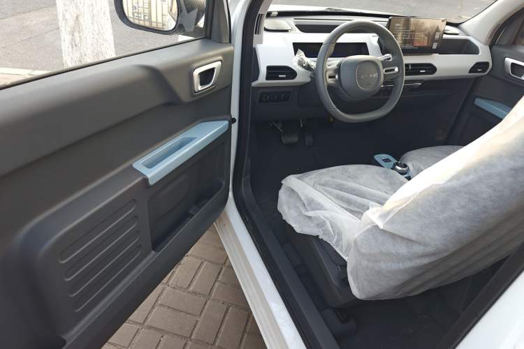 Used  Panda 2024 Panda Mini 200km Endurance Bear