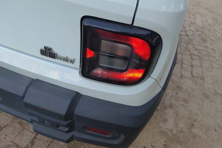 Used  Panda 2024 200km Panda Rider