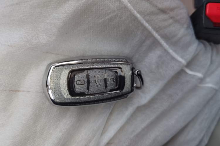 Used  Panda 2024 Panda Mini 200km Endurance Bear