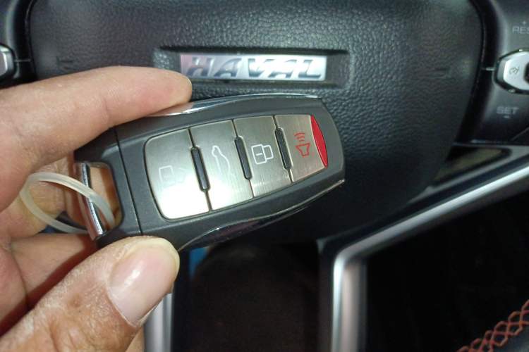 Used Haval LHERY 2021 High-Performance Version 1.5T Golden Rabbit
