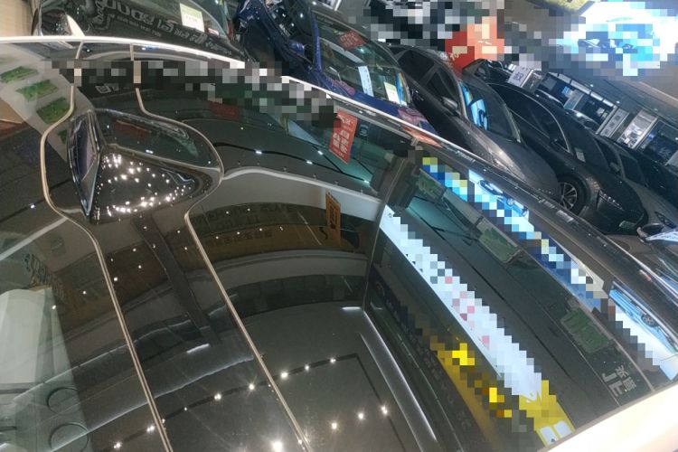 Used  07 2024 Max Pure Electric Edition