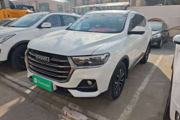 Used Haval H6 2021 National Trend Edition 1.5T Automatic Urban Version
