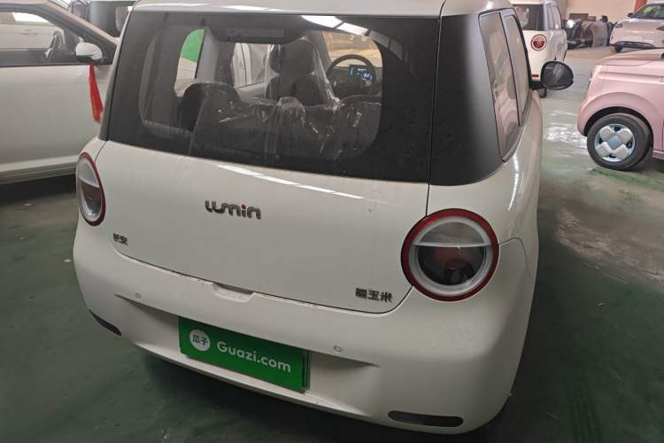 Used  Lumin 2024 130km Qingyue Version
