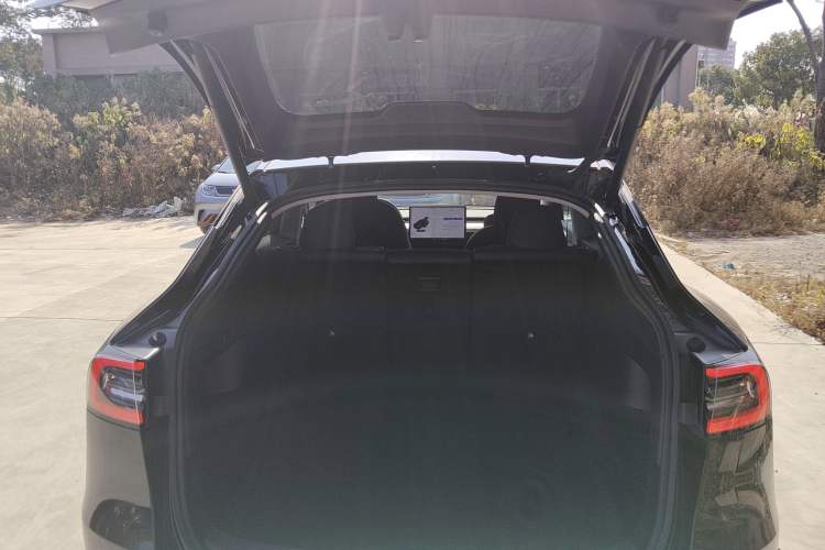 Used Tesla Model Y 2021 Standard Range Rear-Wheel Drive Version
