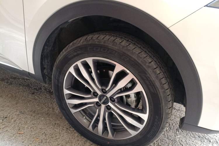 Used Haval F7 2021 2.0T Two-Wheel Drive i-Van