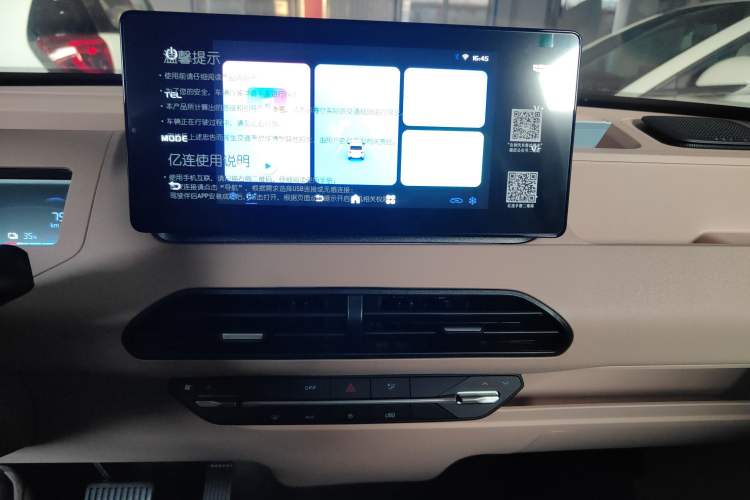 Used  Panda 2024 Panda Mini 200km Endurance Bear