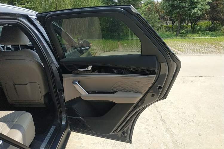 Used BYD Tang New Energy 2025 DM-i 115KM Prestige Model