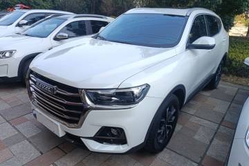 Used Haval H6 2021 National Trend Edition 1.5T Automatic Urban Version