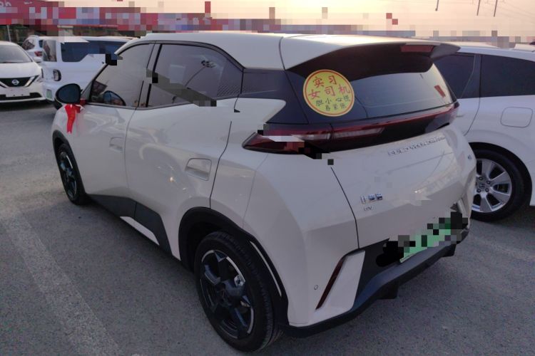 Used BYD Seagull 2024 Honor Edition 305km Freedom Version
