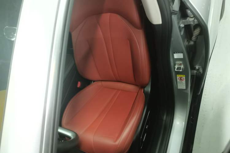 Used XPeng P7 2021 480N
