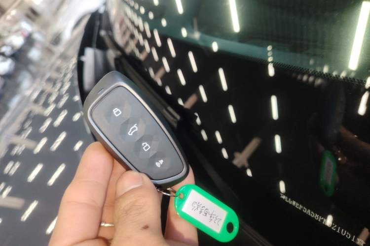 Used Haval X DOG 2022 1.5T DCT Two-Wheel Drive Trendy Edition
