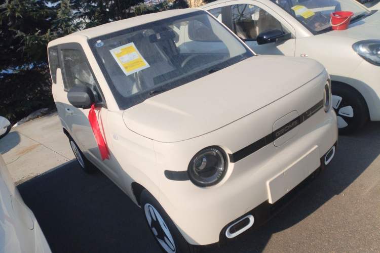 Used  Panda 2025 210 km – Yuanqi Bear
