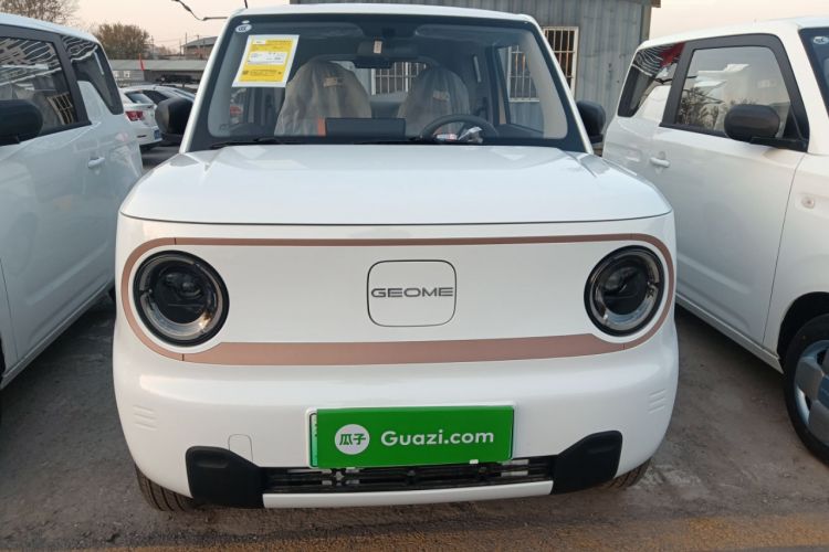 Used  Panda 2024 Panda Mini 200km Endurance Bear
