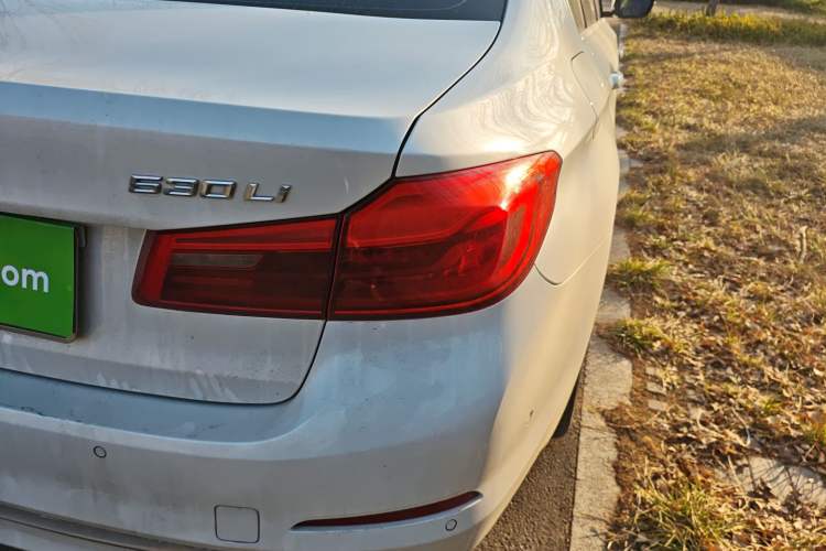 Used BMW 5 Series 2020 530Li Leading Edition Luxury Package