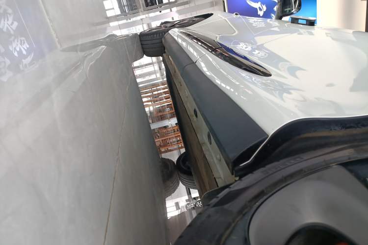 Used  LS6 2023 Max Long-Range Version
