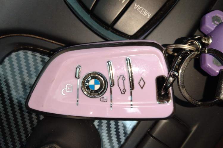 Used BMW X1 2020 sDrive20Li Fashion Model
