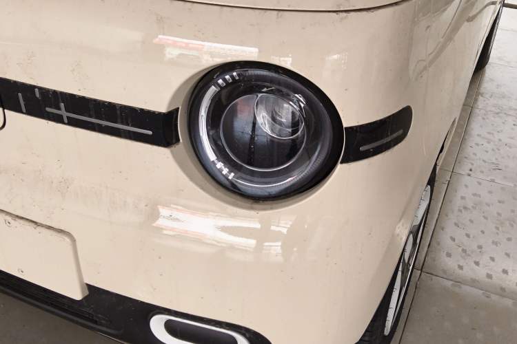 Used  Panda 2025 210 km – Yuanqi Bear
