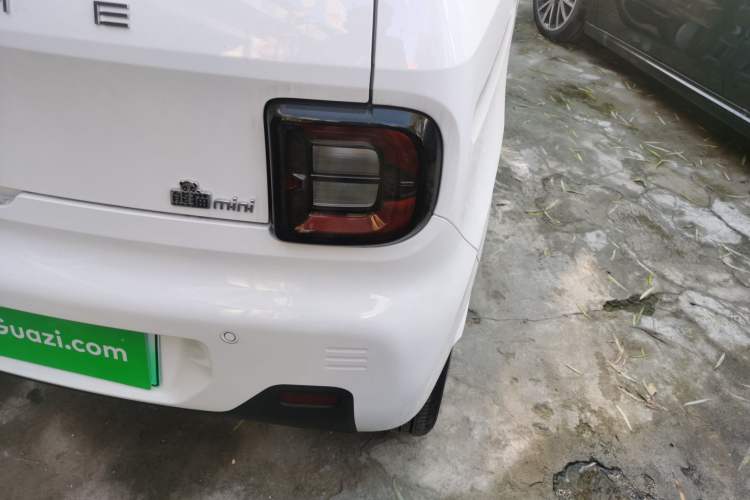 Used  Panda 2024 Panda Mini 200km Endurance Bear
