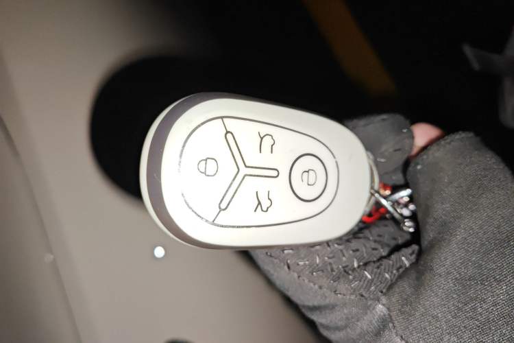 Used  Geome 2025 310km Dream Edition
