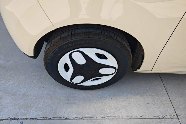 Used  Panda 2025 210 km – Yuanqi Bear
