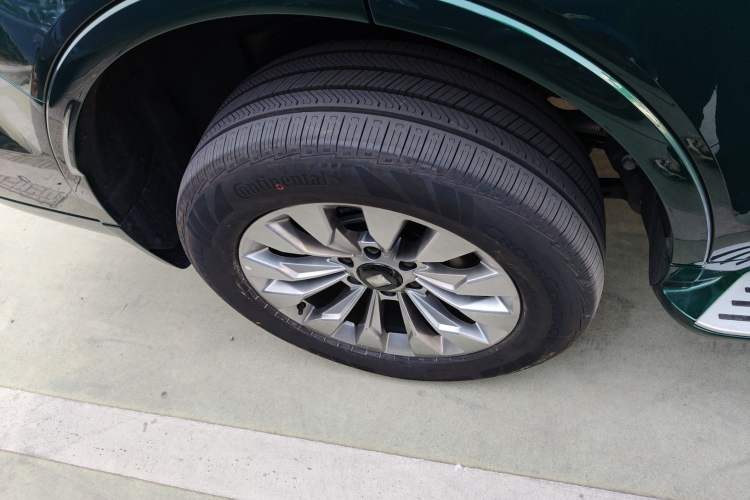 Used Tank 500 New Energy 
