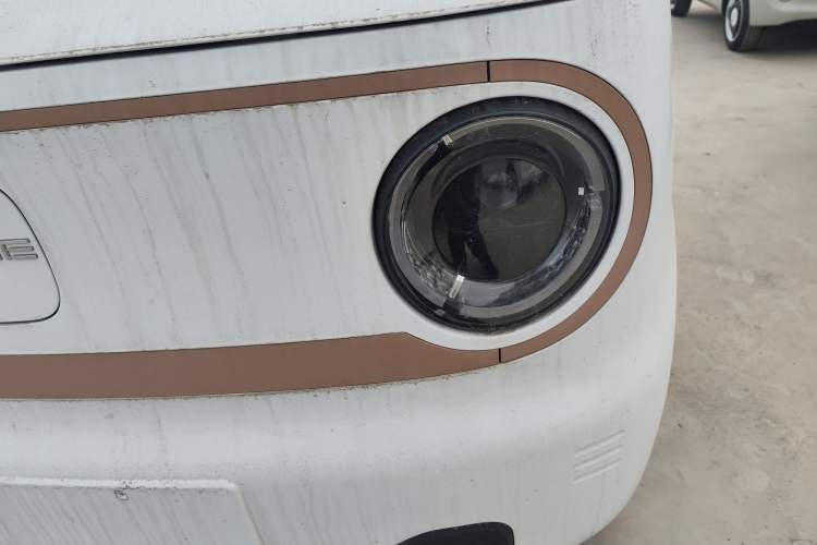 Used  Panda 2024 Panda Mini 200km Endurance Bear
