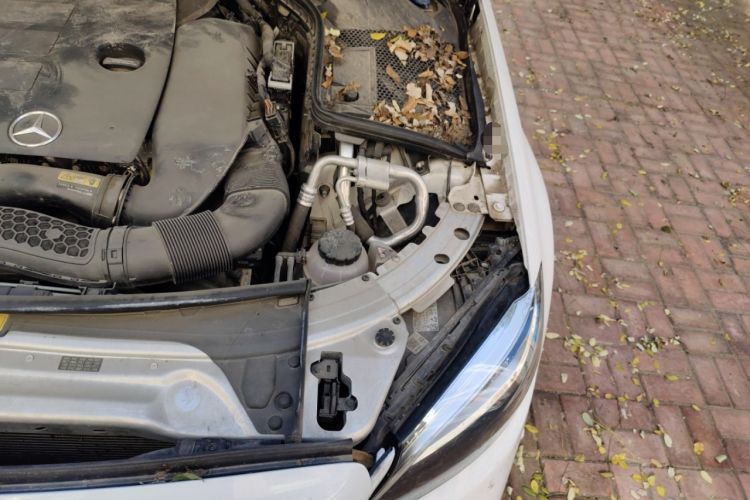 Used Mercedes-Benz C-Class 2020 Restyled C 260 Sport Edition
