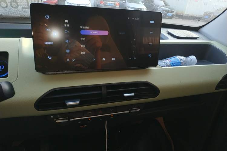 Used  Panda 2023 Panda Mini 200km Endurance Bear
