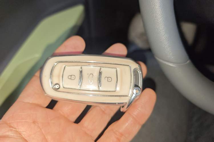 Used  Panda 2024 Panda Mini 200km Endurance Bear