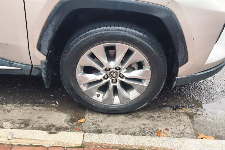 Used Toyota Wildlander 2020 2.0L CVT Two-Wheel Drive Luxury Edition
