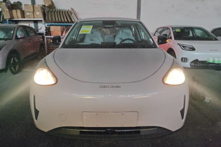 Used  Geome 2026 Model 310km Youth Edition
