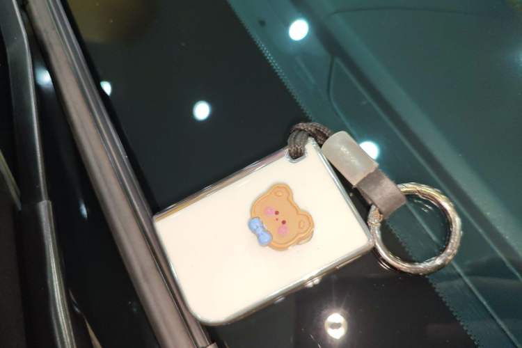 Used Lynk & Co 06 EM-P 2023 EM-P 126 Long-Range Halo
