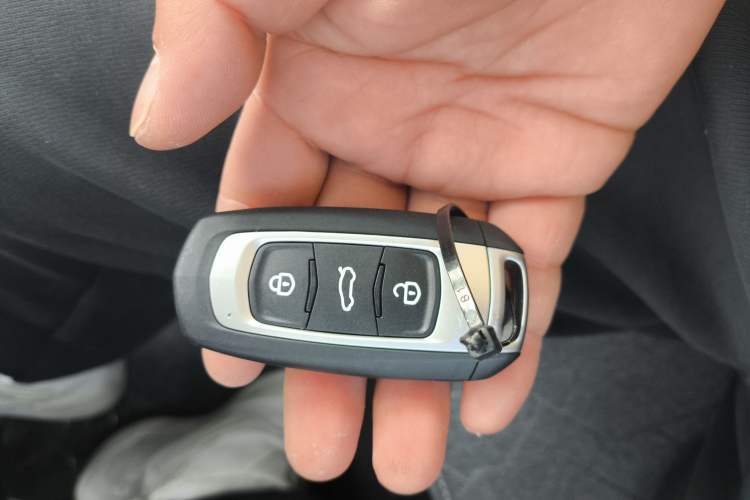 Used  Panda 2024 Panda Mini 200km Endurance Bear
