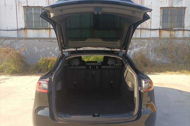 Used Tesla Model Y 2021 Standard Range Rear-Wheel Drive Version
