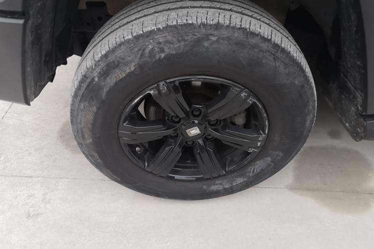 Used Tank 300 2024 2.0T Conqueror
