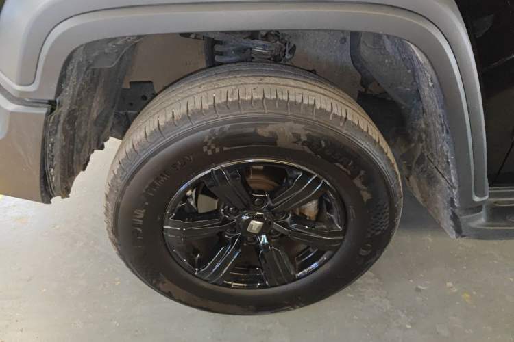 Used Tank 300 2024 2.0T Challenger
