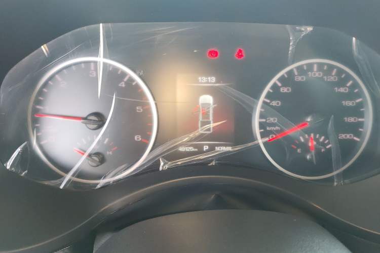 Used Great Wall Poer 2021 2.0T Global Version Passenger Automatic Diesel Two-Wheel Drive Comfort Trim Standard Cab GW4D20M
