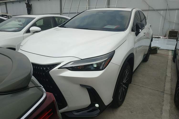 Used Lexus NX 2023 260 Front-Wheel Drive Chuan Yue Edition