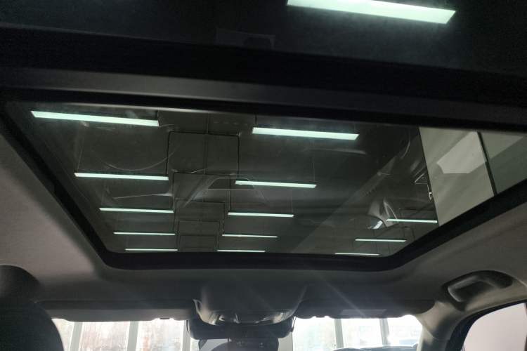 Used Haval DARGO 2024 2.0T DCT Chinese Rural Dog Edition
