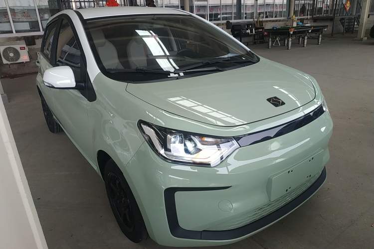 Used SOL E10X 2022 Flower Fairy Style Baby's Breath
