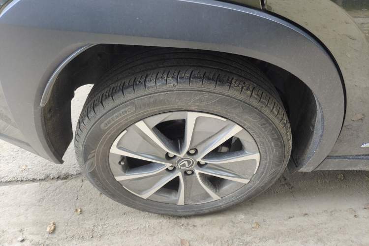 Used Lexus UX New Energy 2020 300e Pure·Joy Edition
