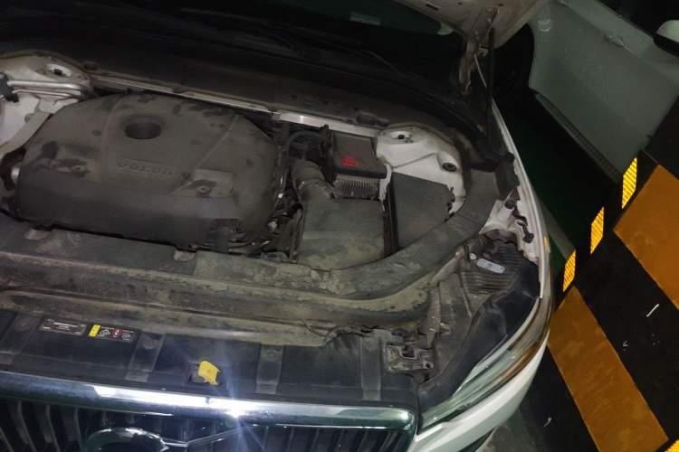 Used Volvo XC60 2019 T5 4x4 Smart Edition China V Standard