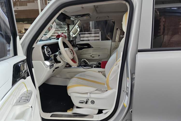 Used  Tank 300 2021 2.0T Cyber Tank
