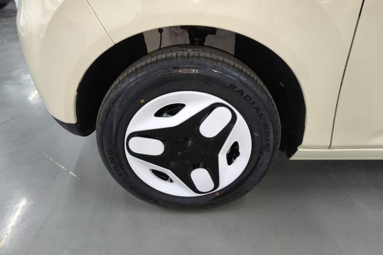 Used  Panda 2025 210 km – Yuanqi Bear
