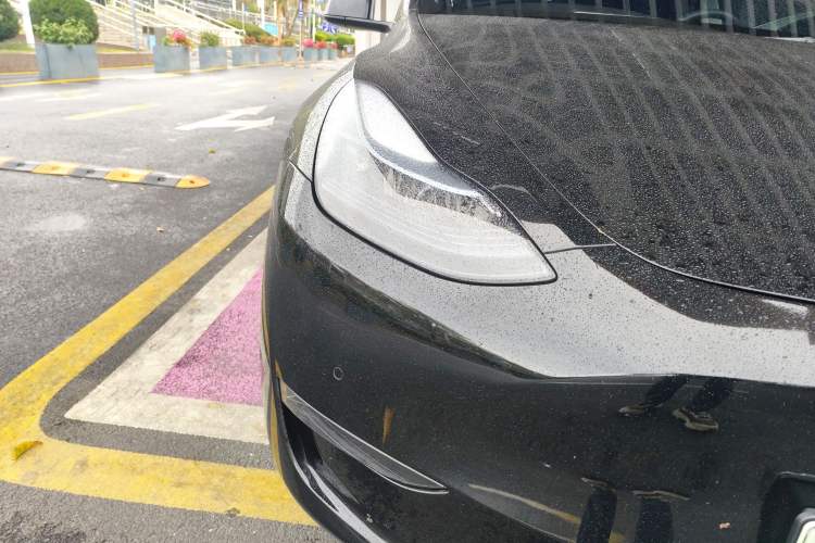 Used Tesla Model Y 2021 Standard Range Rear-Wheel Drive Version