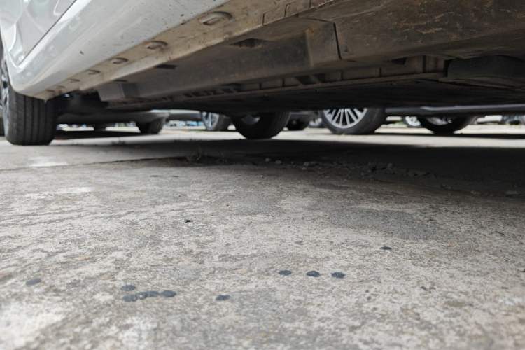 Used Roewe i6 MAX New Energy 2023 EV 420 Skyroof Special Edition
