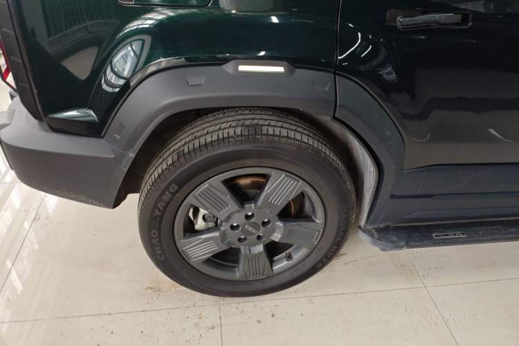 Used  03 2024 501km Two-Wheel Drive Long-Range Version
