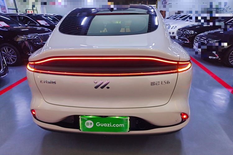 Used  LS6 2023 Max Long-Range Version
