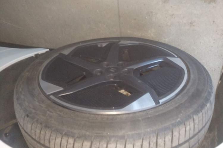 Used  eπ007 2024 620 Pro Version