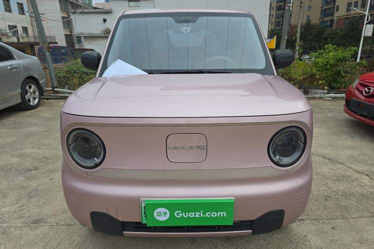 Used  Panda 2023 Panda Mini 200km Endurance Bear